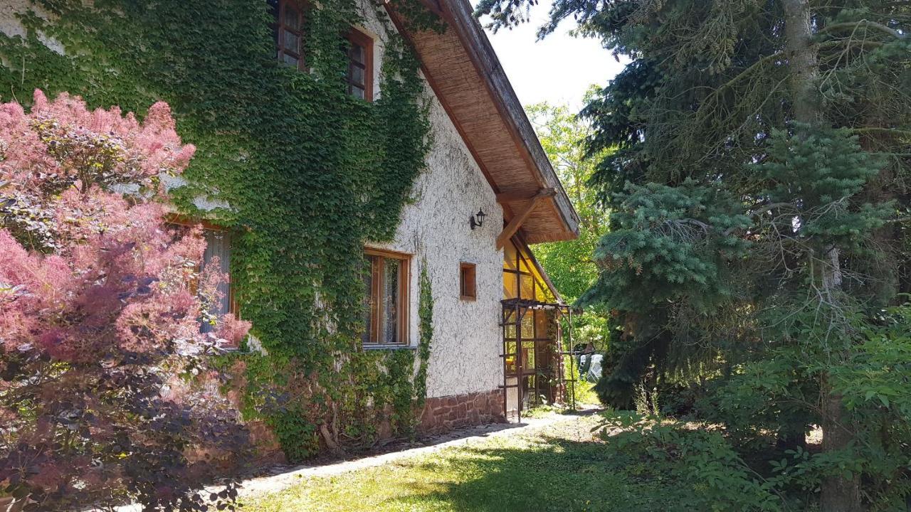 Haus Veronika Zamárdi Εξωτερικό φωτογραφία